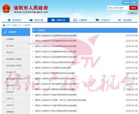 信陽頭條最新爆料,重大事件背后驚人內幕曝光！