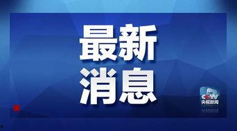 龍崗爆料新聞最新消息